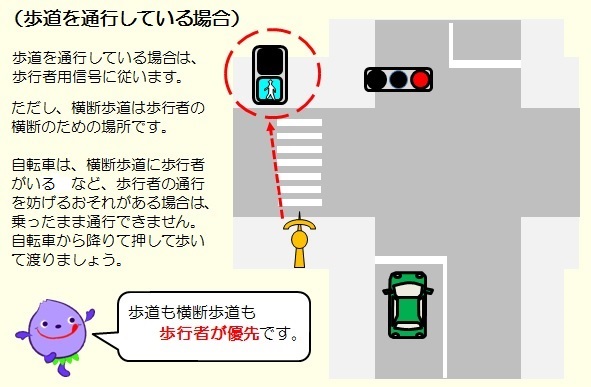 自転車は歩行者信号と車道の信号、どっちを見るべき？じてまに研究所