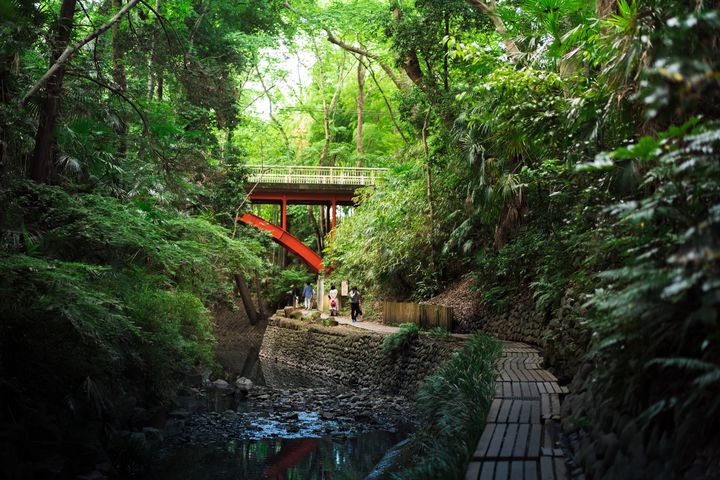 自然・アート・温泉・グルメ 関東ひとり旅のおすすめスポットを楽しみ方別に紹介びゅうトラベル JR東日本