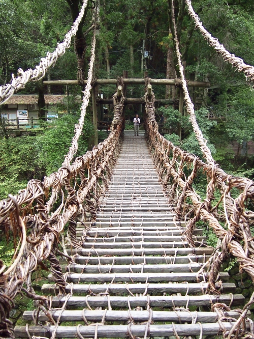 雪と紅葉」の奥祖谷二重かずら橋を見るには５つのハードルを乗り越えろ！ – 高知に移住したのーてんき女のブログ