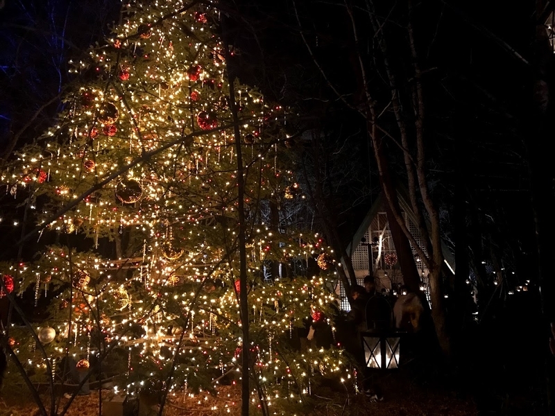 軽井沢高原教会の紅葉 長野県紅葉名所2025