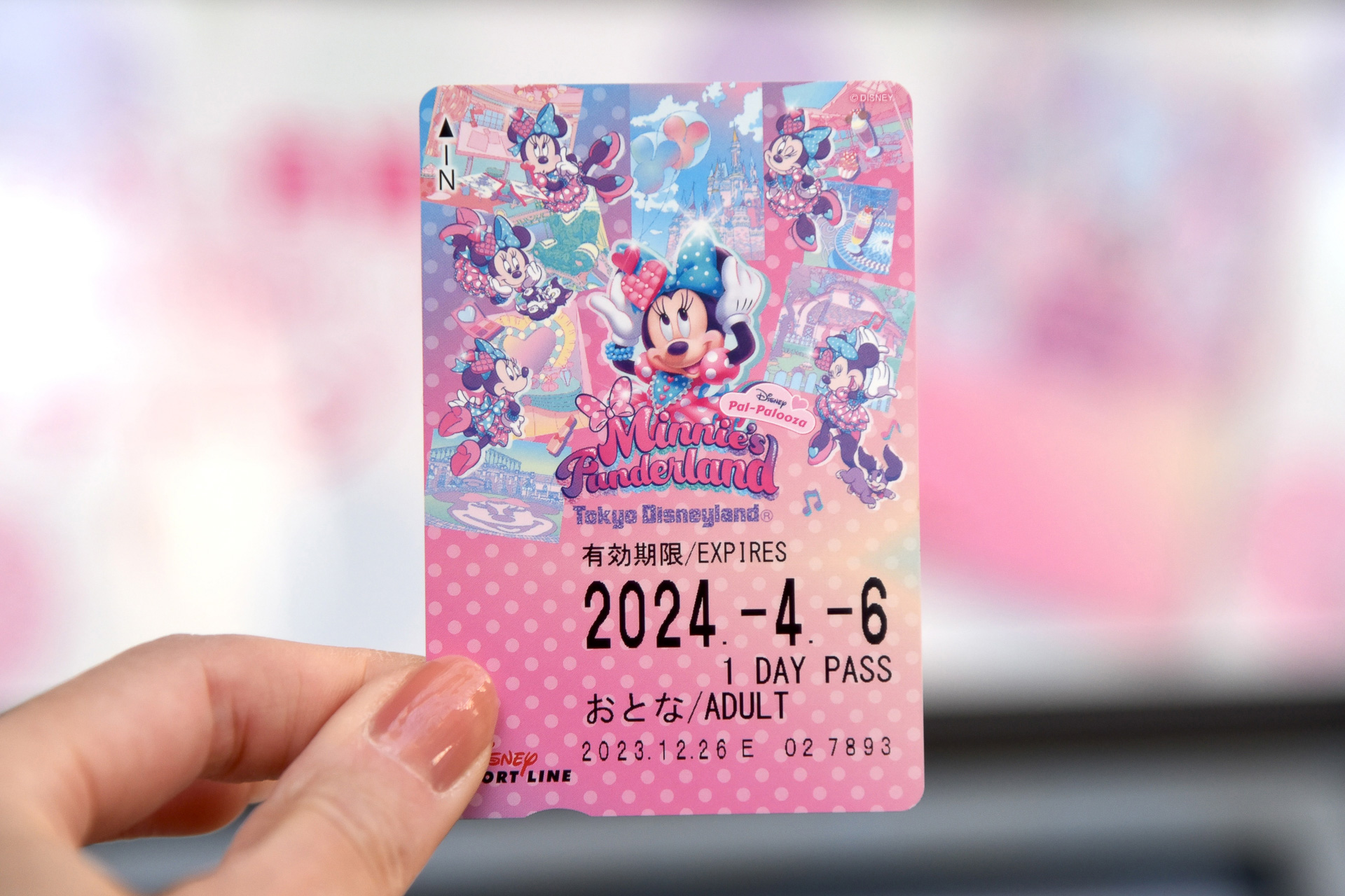 リゾラ フリーきっぷ購入♪かすみめ家のディズニー大好き遠方組的ディズニー生活