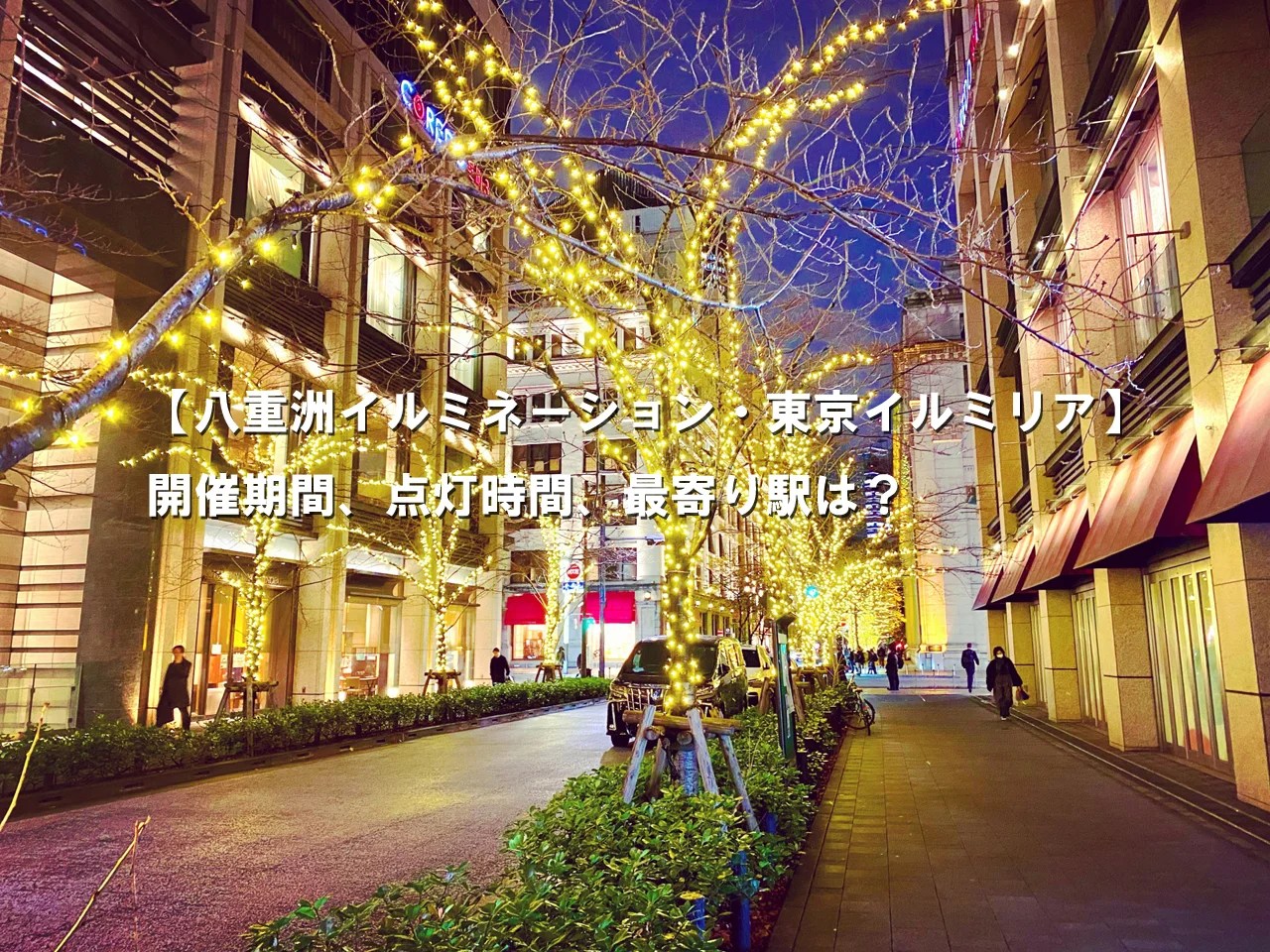 東京駅から歩いてめぐる、クリスマスツリー＆イルミネーションスポットことりっぷ