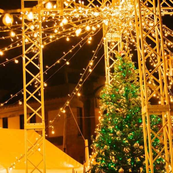 大連友好記念館 旧国際友好記念図書館 「生命と微量元素」講座＜荒川泰昭＞