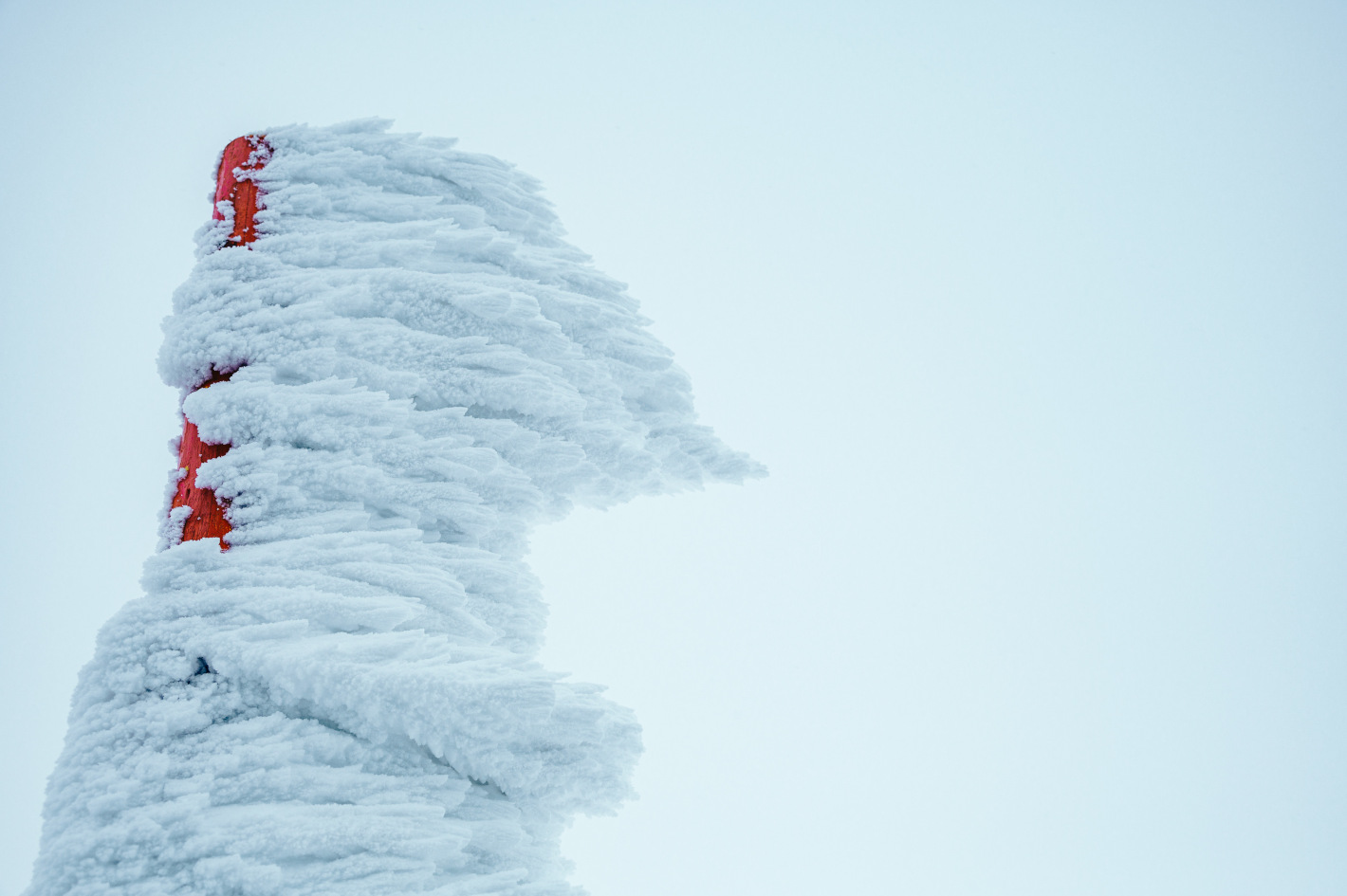 2025 白石・宮城蔵王で人気の観光スポット・名所、日帰り旅行にもおすすめ トラベルコ