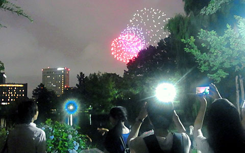 野島公園展望台から見る八景島花火シンフォニア鑑賞と夜景ほっつきぼうず日々是好日