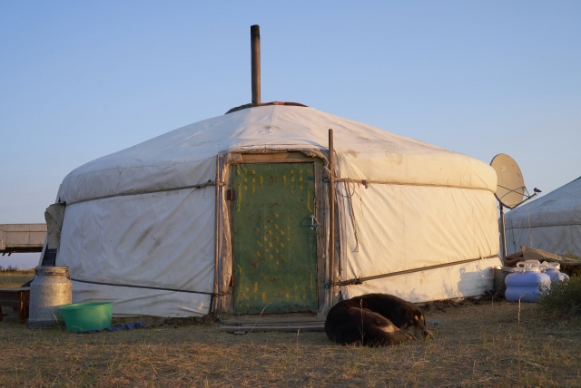 TJ調査隊 妙高市にモンゴルのゲル？ 不思議な室内に潜入 - 上越タウンジャーナル