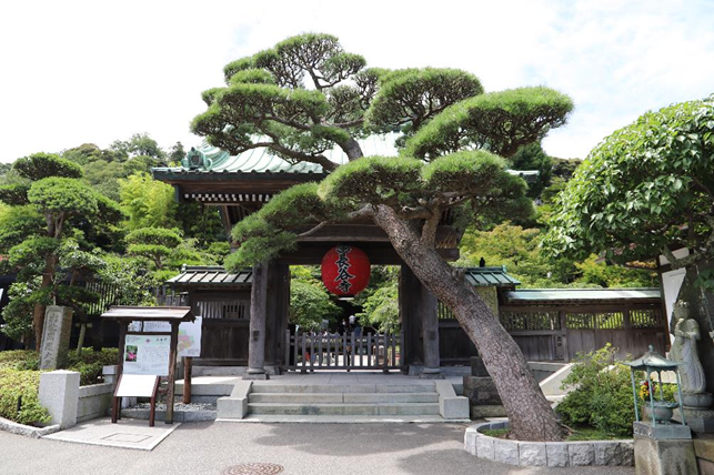 長谷から江ノ島へ、江ノ電撮り歩き。』鎌倉 神奈川県 の旅行記・ブログ by fly-jinさん