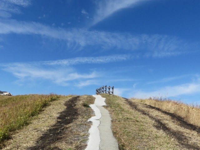 西湯浦園地展望所 とっておき！天空の絶景スポットで阿蘇を一望！入れるのは10時〜17時のみあそびなっせ