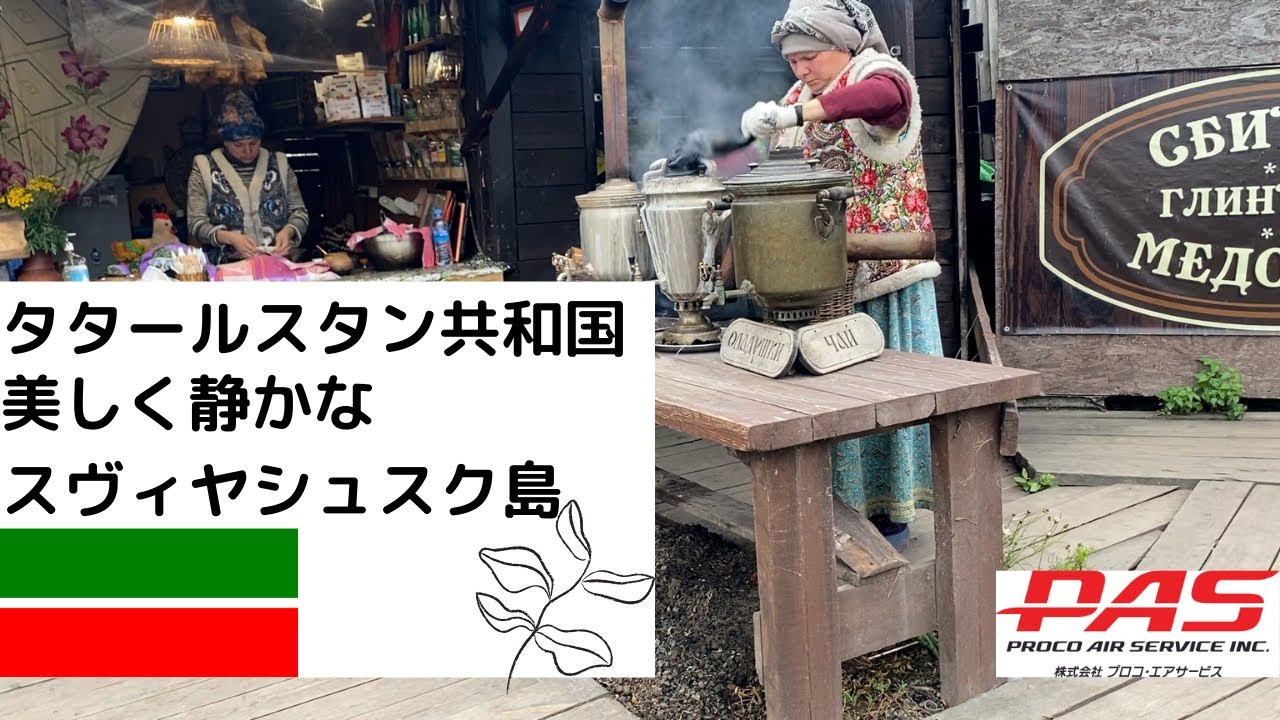 タタールスタンとジーナ・ガリーポヴァ耳 ミミ とチャッピの布団