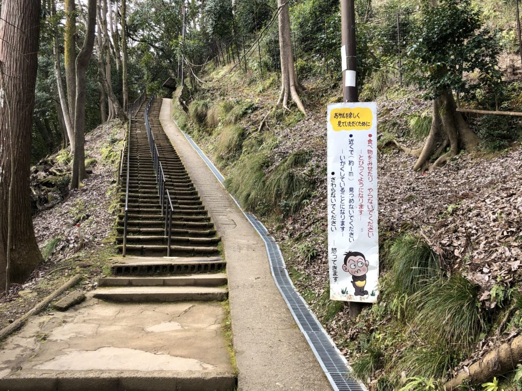 外国人観光客殺到の嵐山モンキーパークが凄すぎる❗️ Arashiyama Monkey Park 絶景嵐山モンキーパーク満喫