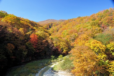 白砂渓谷ラインの紅葉 群馬県 の情報ウォーカープラス