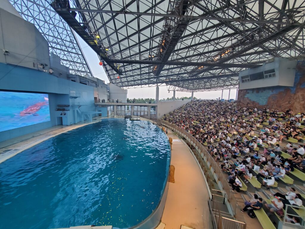 八景島シーパラダイスの絶叫系！ジェットコースターとバイキングの怖さはどんな感じ？ワクワクたいむ