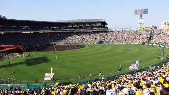 夏の甲子園｣の陰で危うい高校野球の将来 高校野球の部員数｢減少局面｣が鮮明に日本野球の今そこにある危機東洋経済オンライン