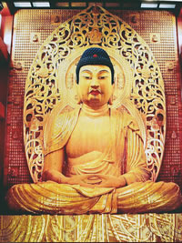 最新 福岡タワー - チケット、営業時間、口コミ、写真2025年Trip.com