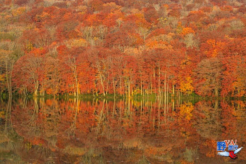 城ケ倉大橋東北の観光スポットを探す旅東北 - 東北の観光・旅行情報サイト