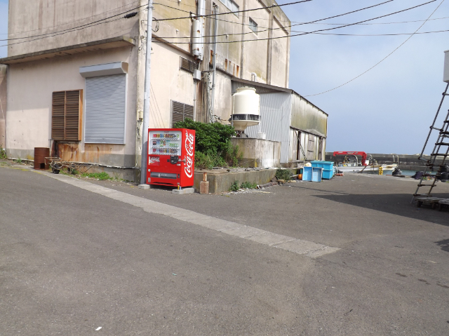 美智丸マリネス釣り情報