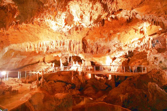 沖縄洞探検・ケイビングハピネスマリン倶楽部沖楽