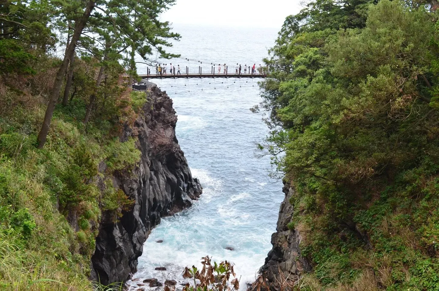 城ヶ崎海岸伊豆・伊東観光ガイド - 伊東の観光・旅行情報サイト