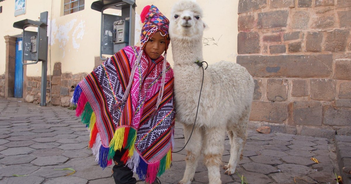 ペルー土産 フリンジポンチョ フリーサイズ