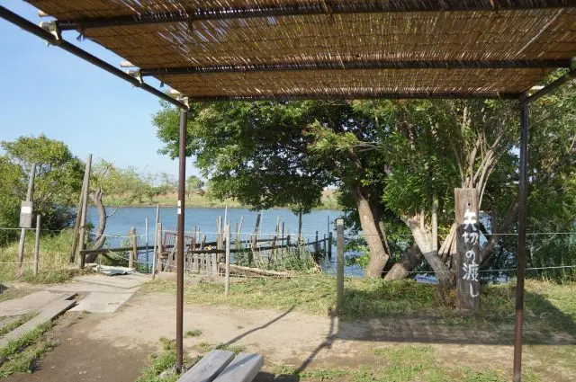 矢切の渡しでスリル満点の渡し舟体験！ユニークな船頭と柴又観光を楽しもう旅じゅん