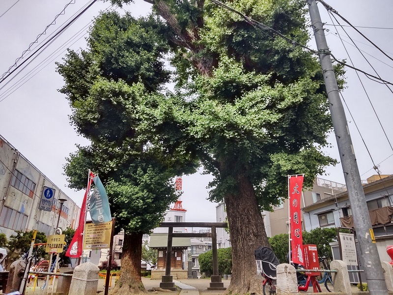 下丸子まちづくりマガジン「meet-up Shimomaruko」の発行についてUnique Ota