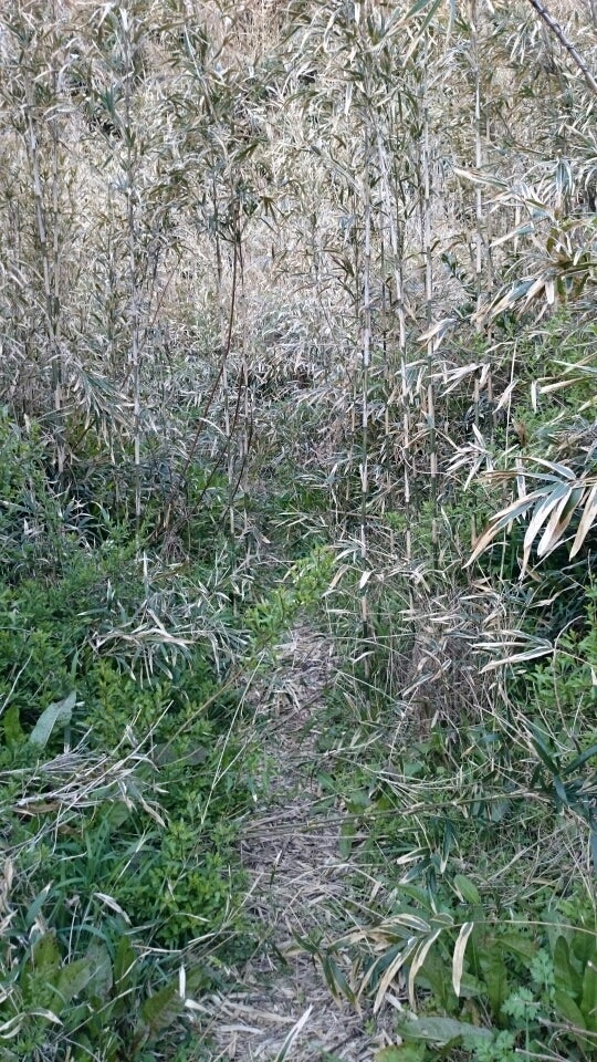 毛戸浦 – エンゼル不動産ブログ