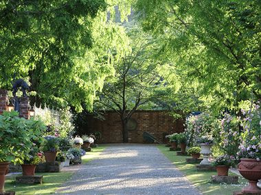 shioさんの投稿 Ｅｎｇｌｉｓｈ Ｇａｒｄｅｎ