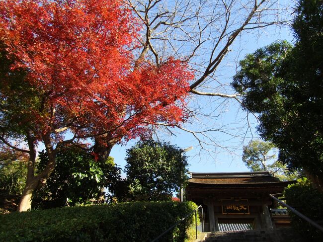 御朱印・御朱印帳：雲頂庵 神奈川県北鎌倉駅ホトカミ -