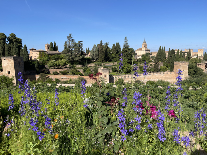 アルハンブラ宮殿の思い出 - フランシスコ・タレガ 🐕🐕🐕 @gomarduli