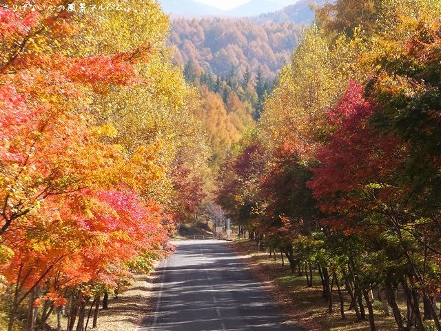 横谷観音展望台の写真素材 - PIXTA