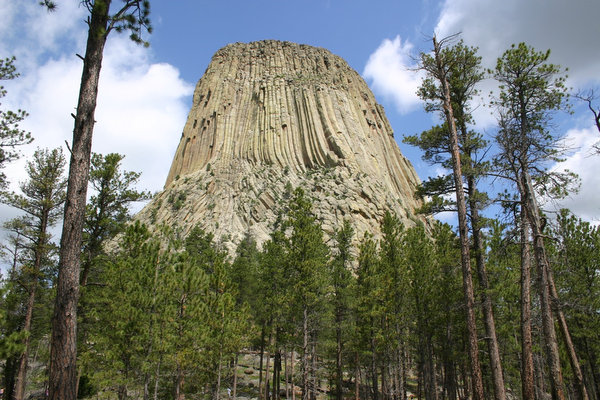 スペース・ニードル、シアトル・センターの見どころ現地情報誌ライトハウス・シアトル