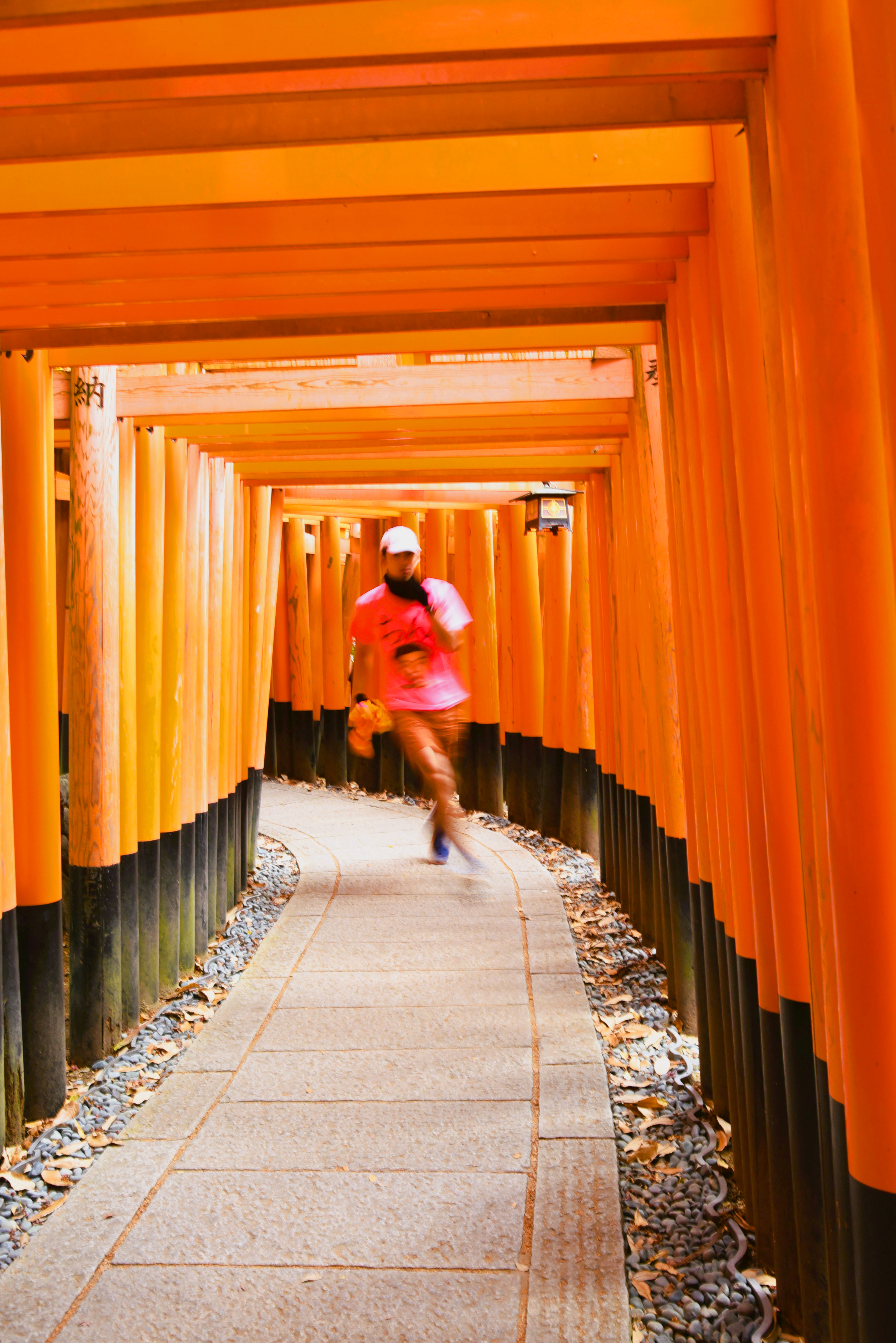 京都 伏見稲荷大社で人無しの千本鳥居写真を撮影するには？scent of