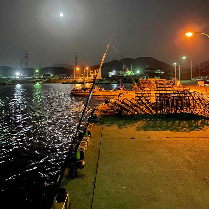 釣行記録 2019.5.2 ＠龍ヶ岳