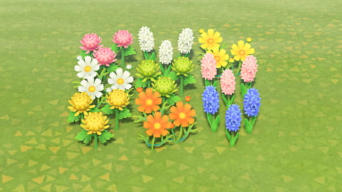 あつ森攻略 花の交配・花の種類一覧 青いバラと金のバラの咲かせ方まとめも！murmurblog