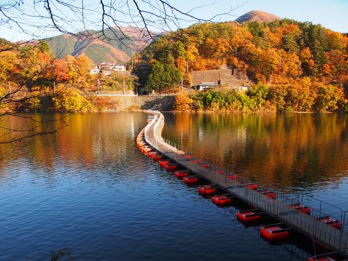 🌲奥多摩、麦山浮橋に行きました・ - photo