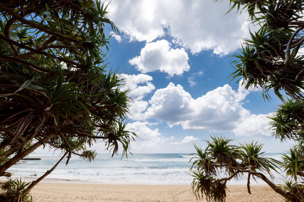 バニラエアで行く☆冬の奄美大島②』奄美大島 鹿児島県 の旅行記・ブログ
