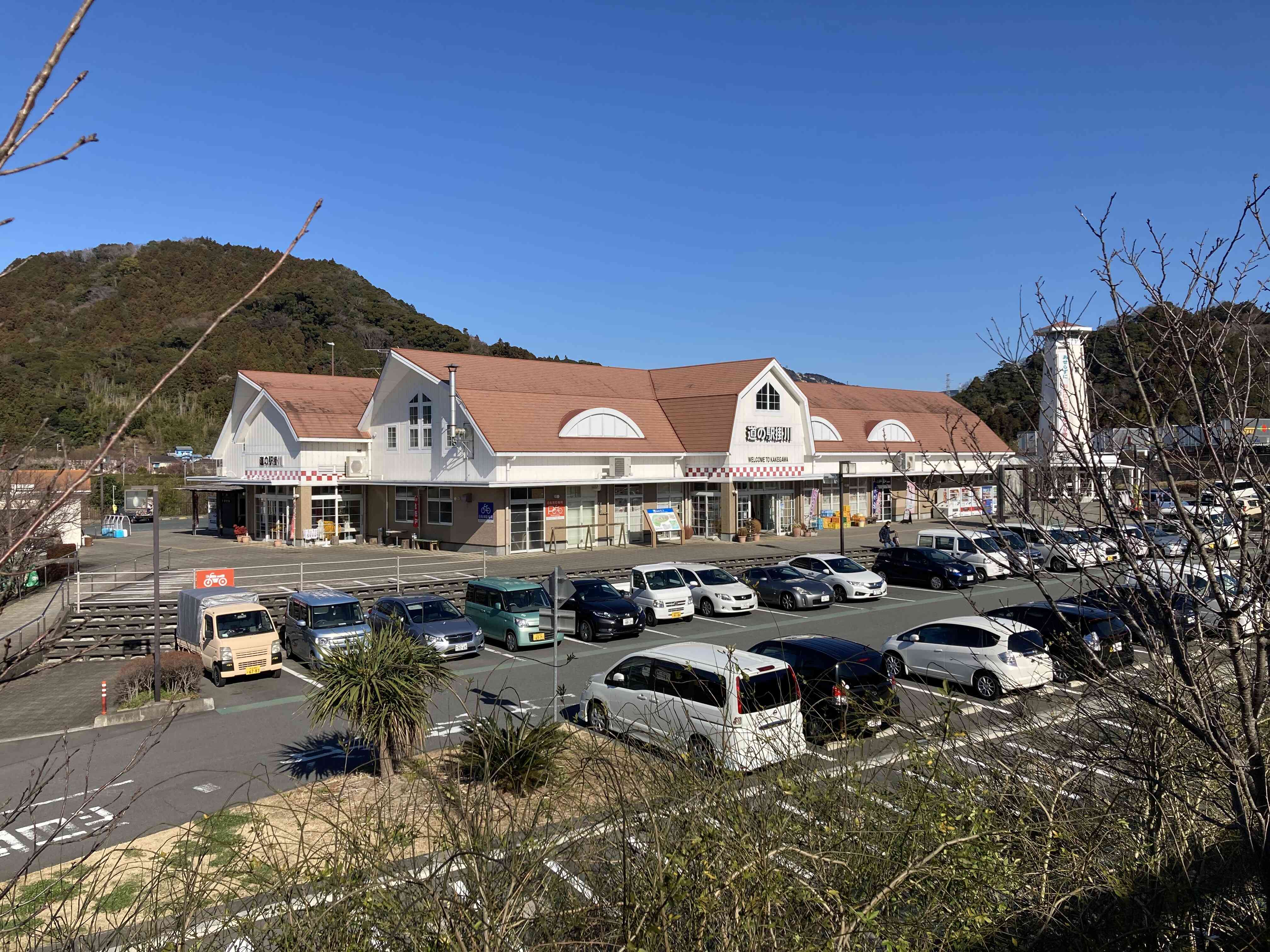 弁天島海浜公園の夜景 by kibo35ID：1554276-