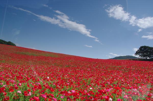 秩父観光情報館 – 秩父観光協会
