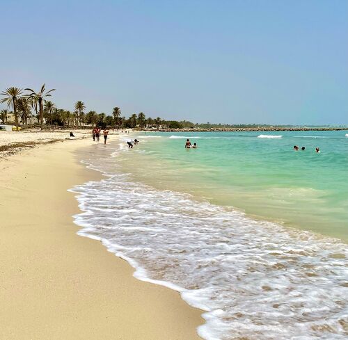 チュニジアで最も美しい、青と白の街シディ・ブ・サイド世界一周フォトたび