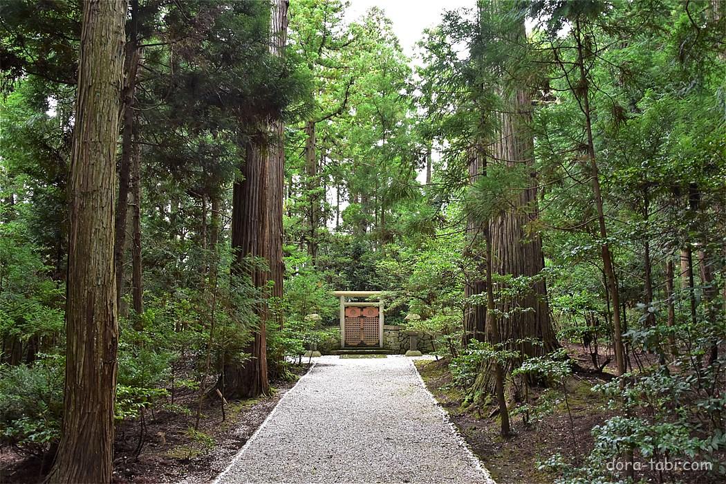 佐渡の桜の名所・真野公園・夕鶴で海鮮丼を堪能。お花見も楽しめる