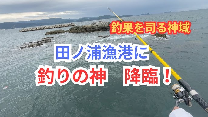 小杭漁港-紀伊半島磯釣り空撮情報