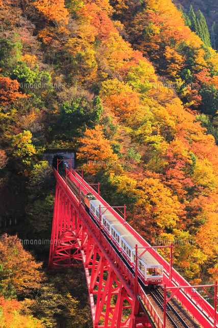 黒部峡谷トロッコ電車』に乗って、新緑・紅葉めぐり。観光情報特集「TOYAMA STYLE」VISIT富山県