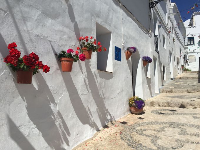 フリヒリアナ観光！すべてが絵になるスペインで一番美しい白い村 アンダルシア周遊旅行記日々是探究