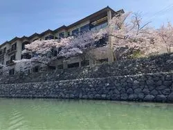 神社仏閣の紅葉も車窓の紅葉も悪くはないですが、遊覧船に揺られながら眺める秋色にはまた格別な味わいがありますcaedeKyoto カエデ京都紅葉と伝統美を引き継ぐバッグ
