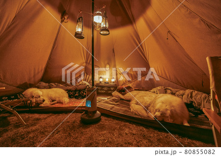 アウトドアベッドでテント泊も快眠！選び方とおすすめ商品28選キャンプ・アウトドア情報メディアhinata