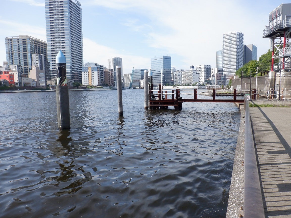 佃大橋・東側の夜景 東京都中央区
