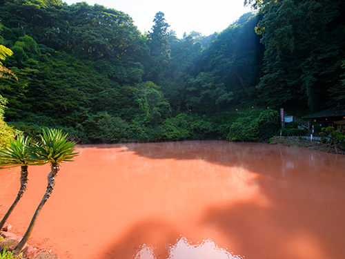 大分県の観光スポットランキング│旅行時におさえたい！全国の人気＆穴場スポットを紹介 旅色