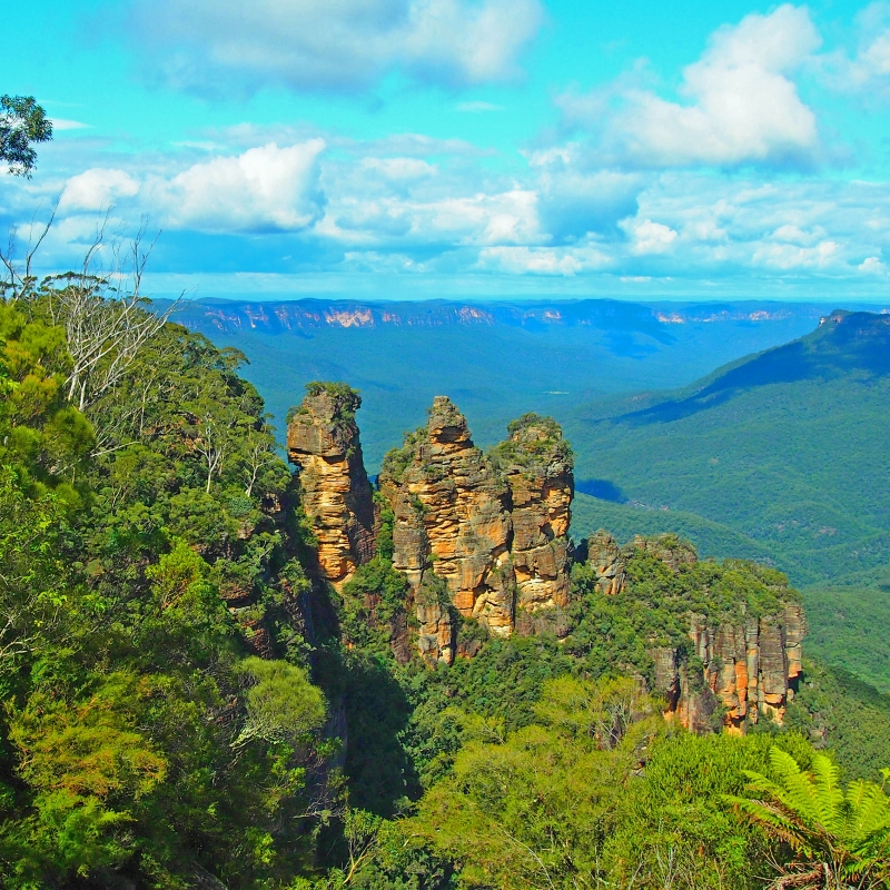 ブルーマウンテンズの絶叫ポイント3選 & 最高地点は雪が降っていた3 screaming