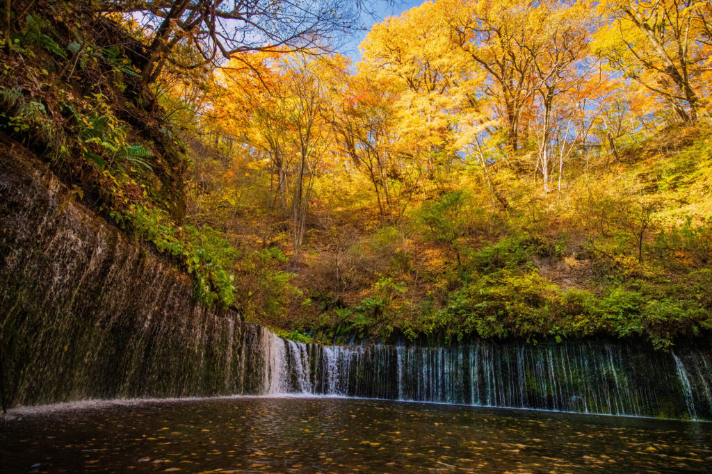 軽井沢おもちゃ王国モデルコース0〜3歳別おすすめの回り方完全ガイド