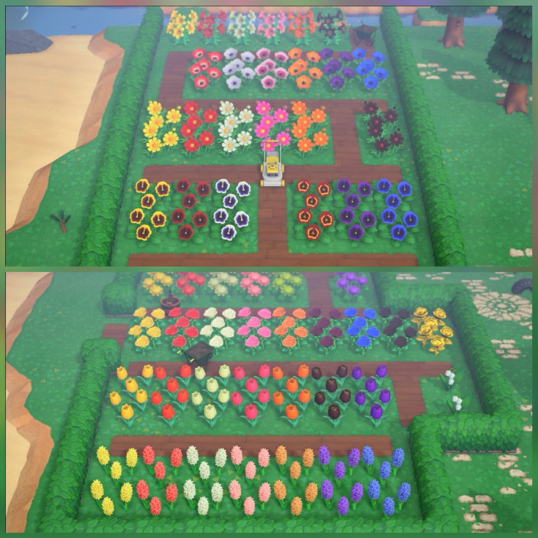 あつ森 バラの花 種類 一覧と交配表 あつまれどうぶつの森